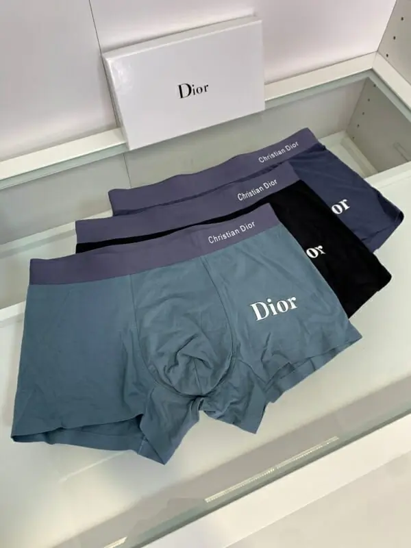 christian dior sous vetementss pour homme s_1070724